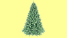 Click to view detail